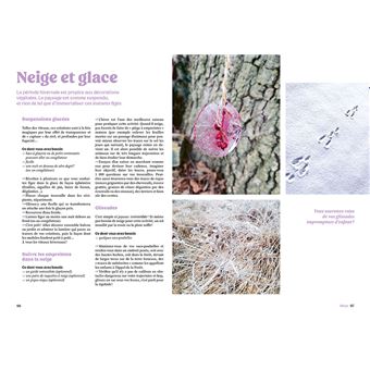 L'appel de la forêt - 1 an d'activités avec les enfants pour se reconnecter à la nature