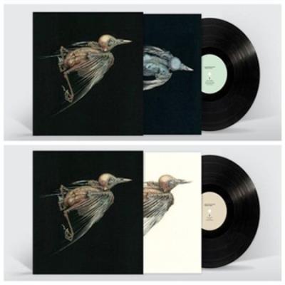 MESHES OF VOICE/LP