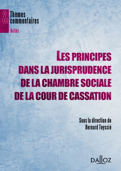 Les principes dans la jurisprudence de la chambre sociale de la Cour de cassation - Bernard Teyssié - broché