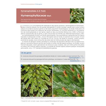 Les Fougères et plantes alliées d'Europe