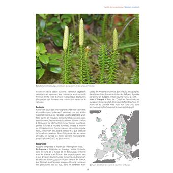 Les Fougères et plantes alliées d'Europe
