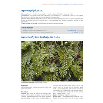 Les Fougères et plantes alliées d'Europe