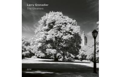 Gleaners/fourreau