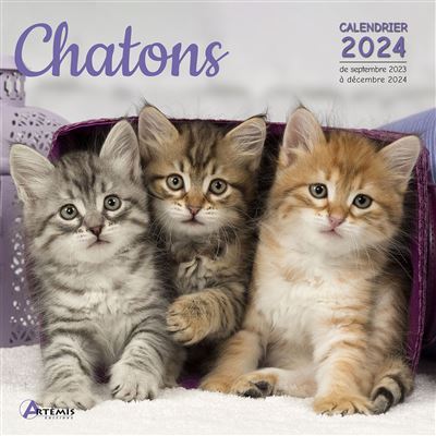 Agenda - Calendrier Drôles de chats 2024 - COLLECTIF - La