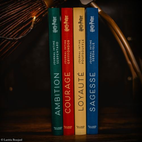 Harry Potter / sagesse : journal intime pour cultiver son âme de