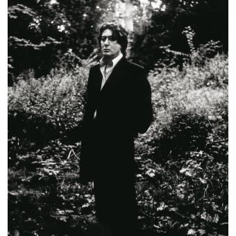 couverture de : L' imprudence