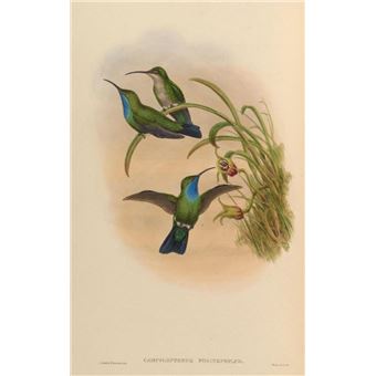 L'Histoire naturelle d'Augustin Lelièvre