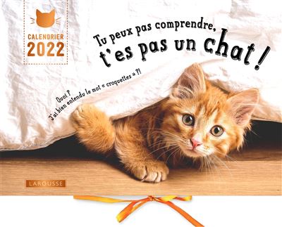 Calendrier Tu Peux Pas Comprendre T Es Pas Un Chat Aurelie Lemoine Alice Zabee Achat Livre Fnac