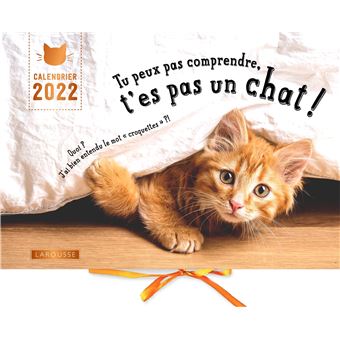 Calendrier Tu Peux Pas Comprendre T Es Pas Un Chat Aurelie Lemoine Alice Zabee Achat Livre Fnac Calendrier Tu Peux Pas Comprendre T Es Pas Un Chat Aurelie Lemoine Alice Zabee Achat Livre Fnac