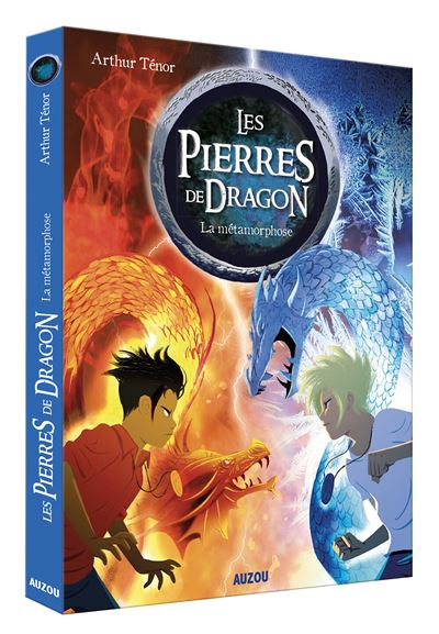 Les pierres de dragon tome 1 - la métamorphose - Arthur Ténor - broché