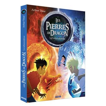 Les pierres de dragon tome 1 - la métamorphose