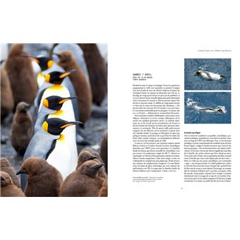 Voyage dans les terres australes à bord du Marion Dufresne