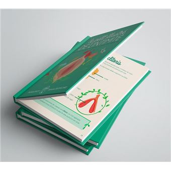 Le petit illustré de l'intimité de la vulve, du vagin, de l'utérus, du clitoris, des règles, etc.
