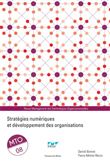 Stratégies numériques et développement des organisations