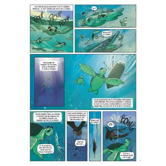 Lettres des animaux à ceux qui les prennent pour des bêtes