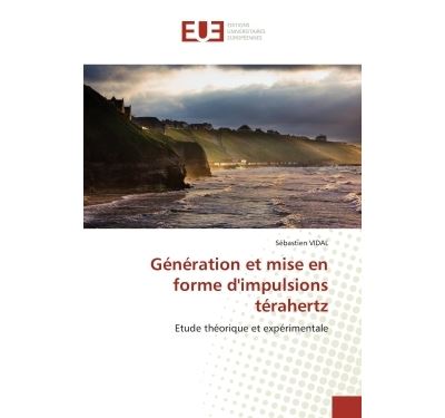 Generation et mise en forme d''impulsions terahertz