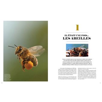 Le grand livre des abeilles