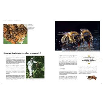 Le grand livre des abeilles