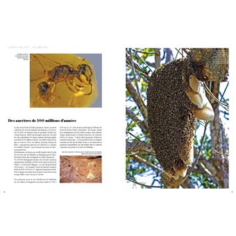 Le grand livre des abeilles