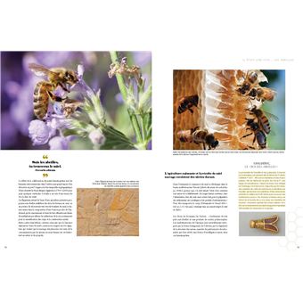 Le grand livre des abeilles