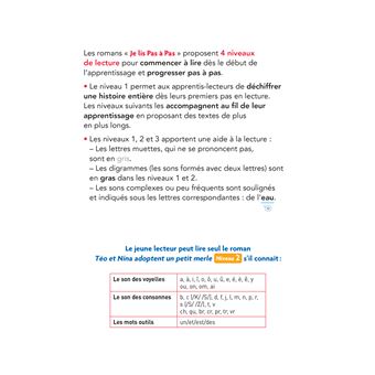 Téo et Nina Milieu CP niveau 2 - Téo et Nina adoptent un petit merle