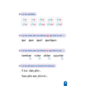 Téo et Nina Milieu CP niveau 2 - Téo et Nina adoptent un petit merle