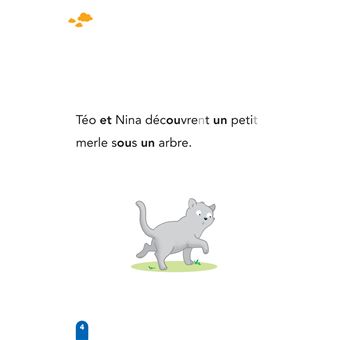 Téo et Nina Milieu CP niveau 2 - Téo et Nina adoptent un petit merle