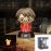 HARRY POTTER-LAMPE ICONE HARRY POTTER QUIDDITCH-10CM_0
