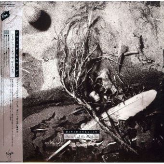 Secrets of the beehive/pochette cartonnee