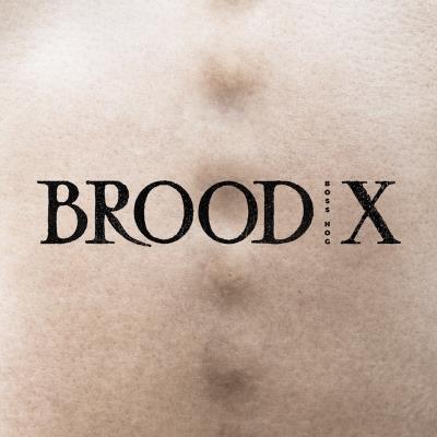 BROOD X