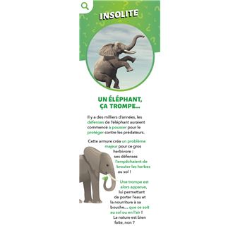 Les Incollables - Éventail Passion - Pourquoi ? Comment ?