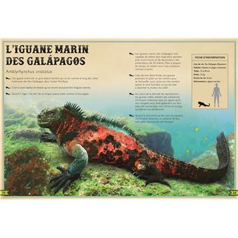 Le Livre extraordinaire des reptiles et amphibiens