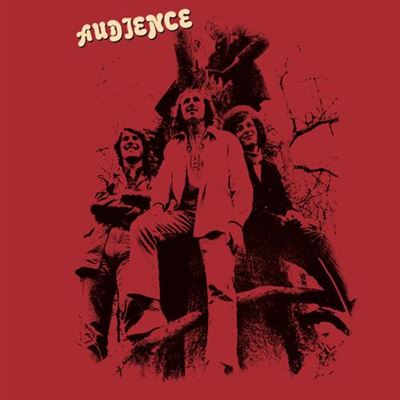 AUDIENCE