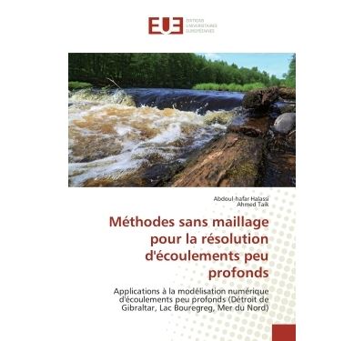 Méthodes sans maillage pour la résolution d'écoulements peu profonds