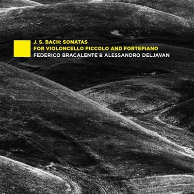 Sonates pour violoncelle piccolo et pianoforte