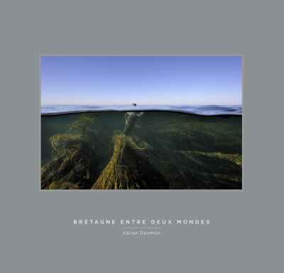 Bretagne entre deux mondes