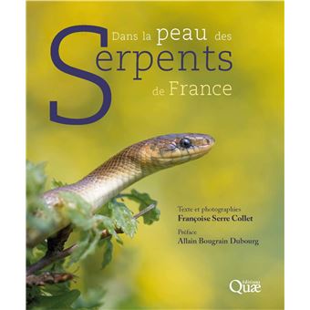 Dans la peau des serpents de france
