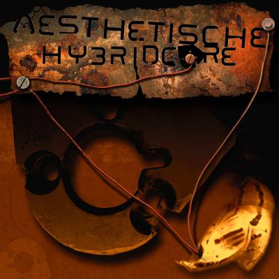 Hybrid Core