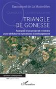 Triangle de Gonesse