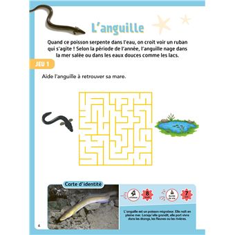Mon cahier de jeux   Merveilles de la mer (5+)