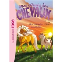 Mes amis les chevaux 06 - Une rencontre inoubliable