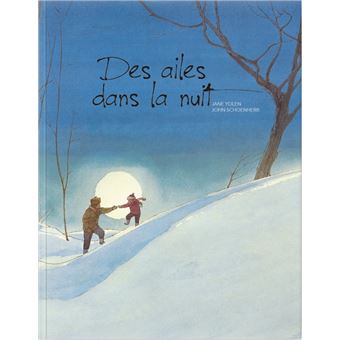 Des ailes dans la nuit