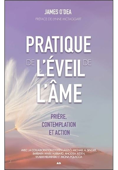Pratique de l'éveil de l'âme