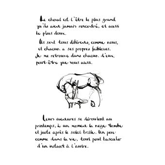 Librairie Jeunesse - Le Cheval Crayon