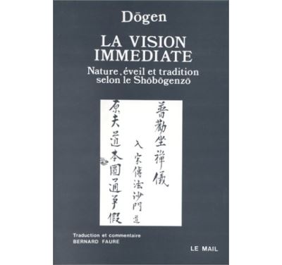 La Vision immédiate