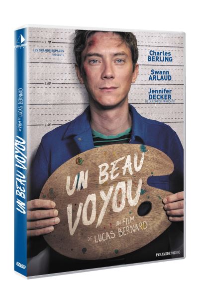 Un beau voyou DVD