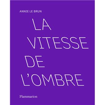 La vitesse de l'ombre