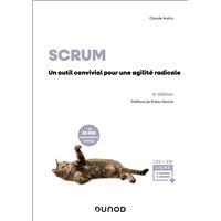 Gestion De Projet Livres Informatique Livre Bd Soldes Fnac