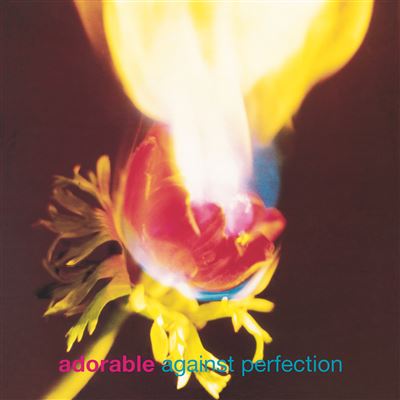 Against perfection/vinyle couleur 180gr