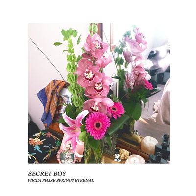 Secret boy/inclus un code de telechargement